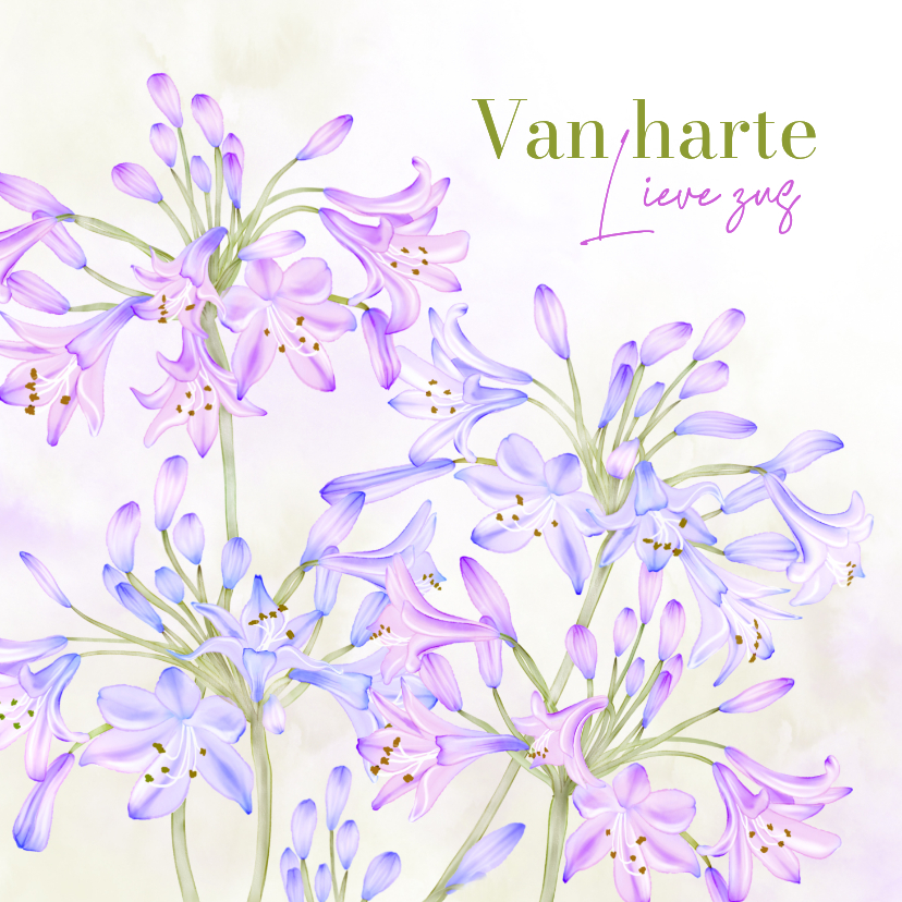 Verjaardagskaarten - Verjaardagskaart Agapanthus