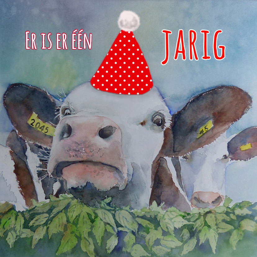 Verjaardagskaart Feest koe - Verjaardagskaarten Verjaardagskaarten - Verjaardagskaart Feest koe