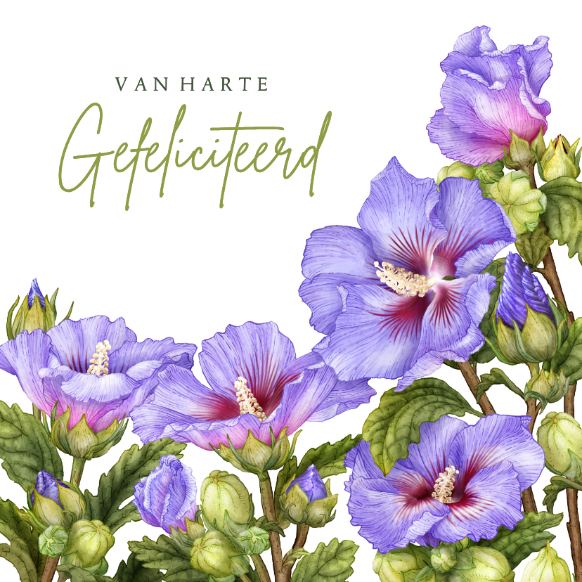 Verjaardagskaart felicitatie blauwe hibiscus - Verjaardagskaarten Verjaardagskaarten - Verjaardagskaart felicitatie blauwe hibiscus