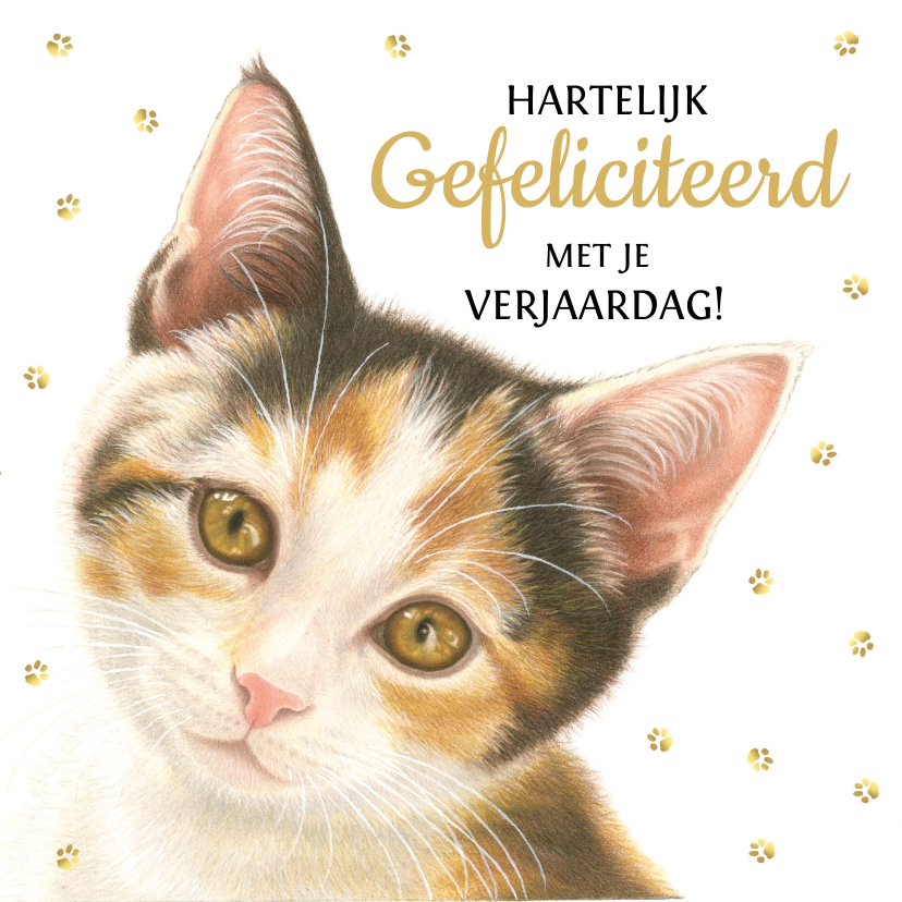 Verjaardagskaarten - Verjaardagskaart felicitatie van Bella kitten 