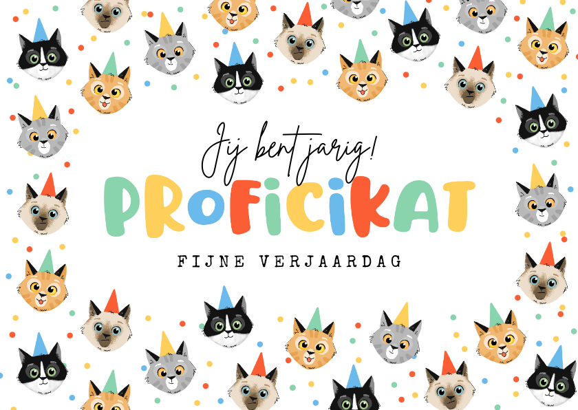 Verjaardagskaarten - Verjaardagskaart grappig katten poezen confetti proficikat