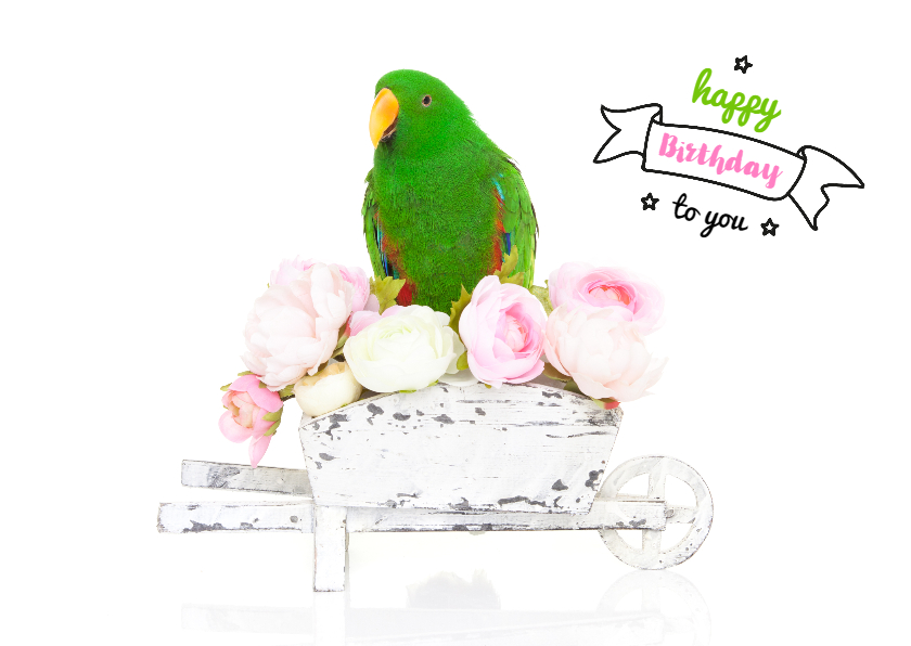 Verjaardagskaarten - Verjaardagskaart - Groene papegaai bloemetjes
