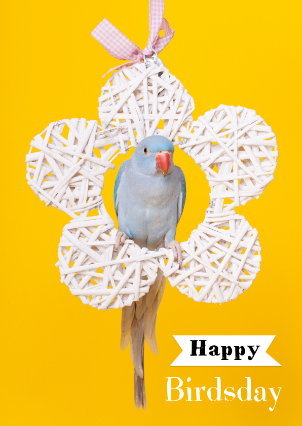 Verjaardagskaarten - Verjaardagskaart - Happy Birdsday
