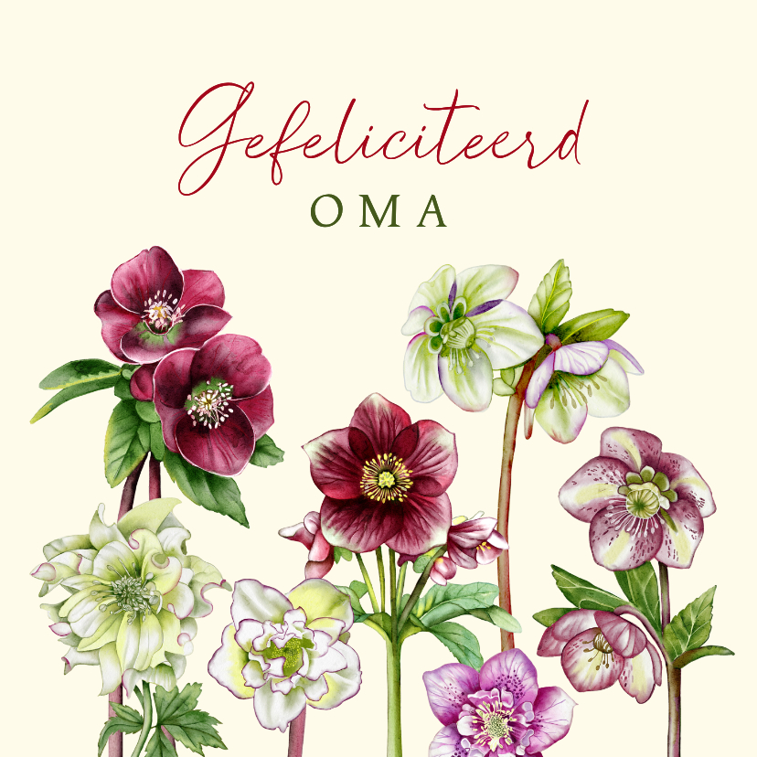 Verjaardagskaarten - Verjaardagskaart helleborusbloemen