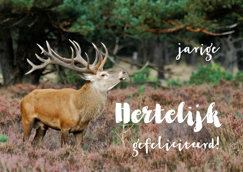 Verjaardagskaart Hertelijk gefeliciteerd - Verjaardagskaarten Verjaardagskaarten - Verjaardagskaart Hertelijk gefeliciteerd
