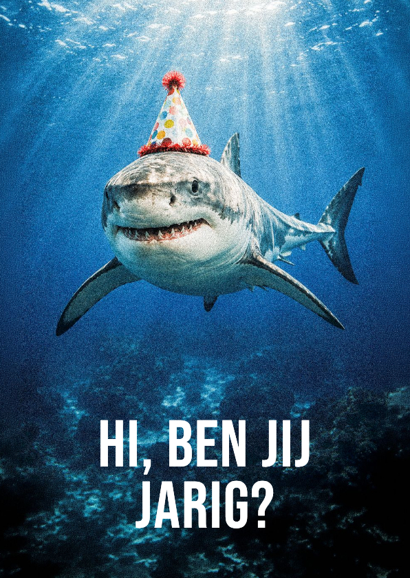 Verjaardagskaart 'hi' foto haai met feesthoed op - Verjaardagskaarten Verjaardagskaarten - Verjaardagskaart 'hi' foto haai met feesthoed op