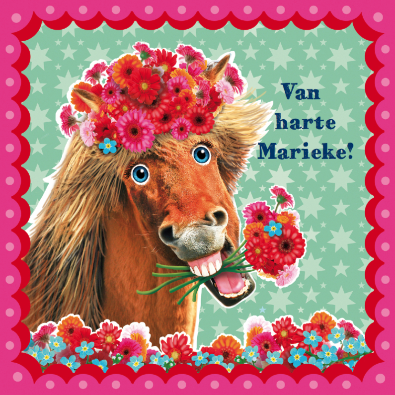 verjaardagskaart hip paard zeegroen roze - Verjaardagskaarten Verjaardagskaarten - verjaardagskaart hip paard zeegroen roze