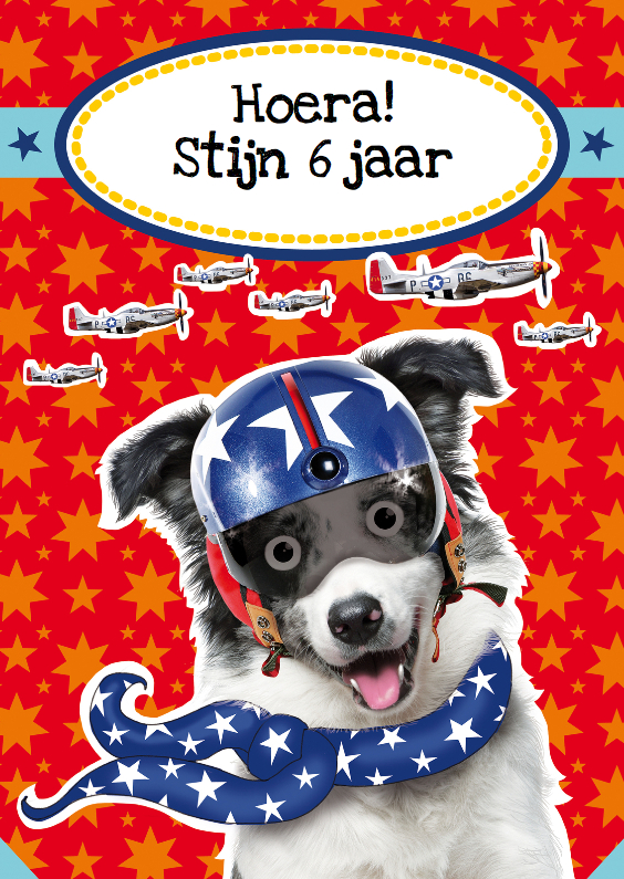 verjaardagskaart hond piloot - Verjaardagskaarten Verjaardagskaarten - verjaardagskaart hond piloot