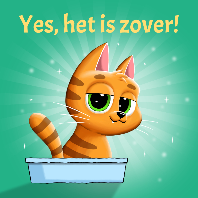 Verjaardagskaarten - Verjaardagskaart kat zit op kattenbak: Yes, het is zover!