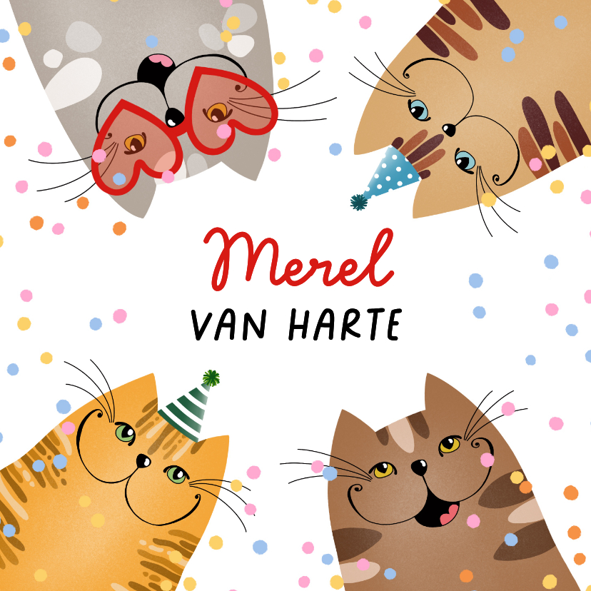 Verjaardagskaarten - Verjaardagskaart katten in feeststemming