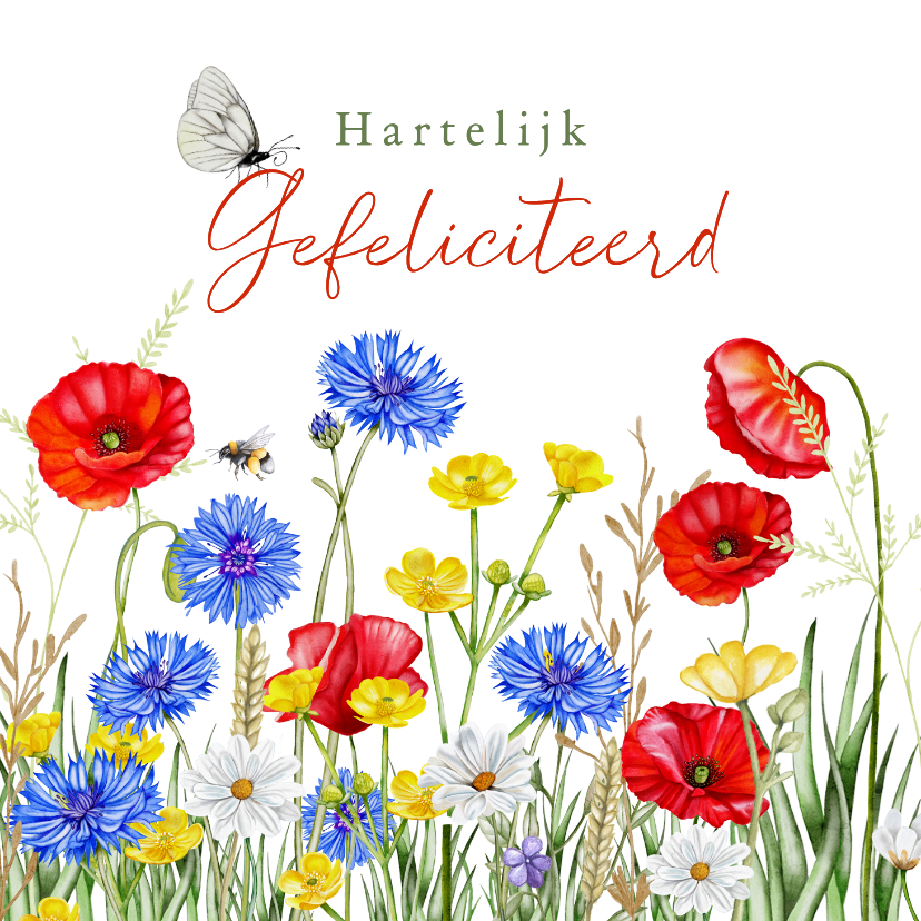 Verjaardagskaarten - Verjaardagskaart klaprozen en veldbloemen