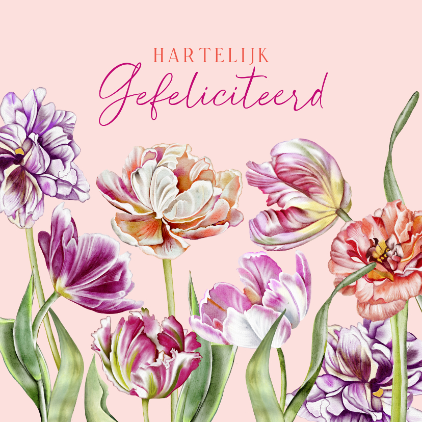 Verjaardagskaart kleurige tulpen - Verjaardagskaarten Verjaardagskaarten - Verjaardagskaart kleurige tulpen