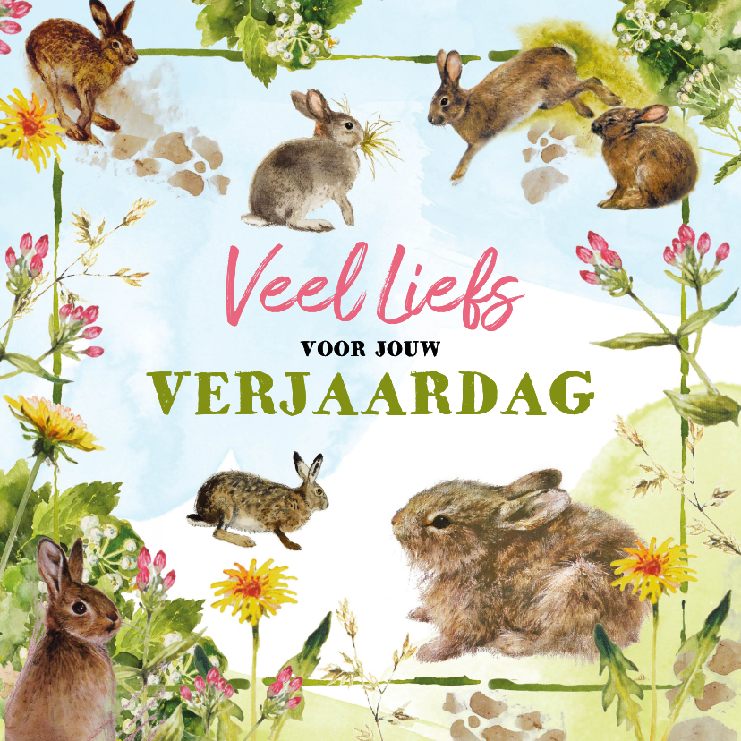 Verjaardagskaarten - Verjaardagskaart lieve konijntjes