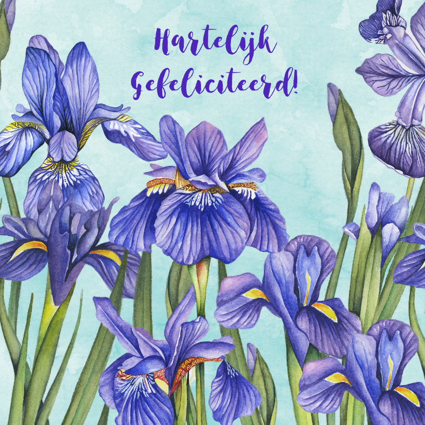 Verjaardagskaart Lisse in aquarel - Verjaardagskaarten Verjaardagskaarten - Verjaardagskaart Lisse in aquarel