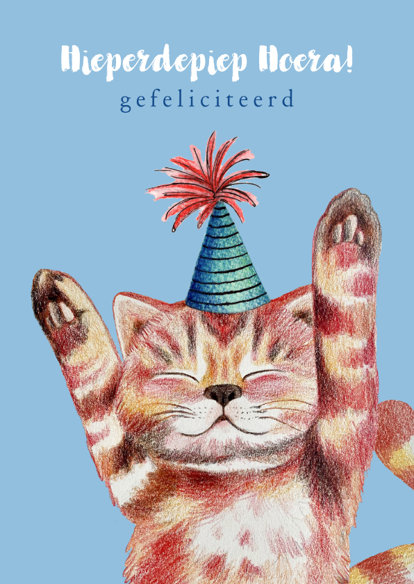 Verjaardagskaarten - Verjaardagskaart met feest vierende kat