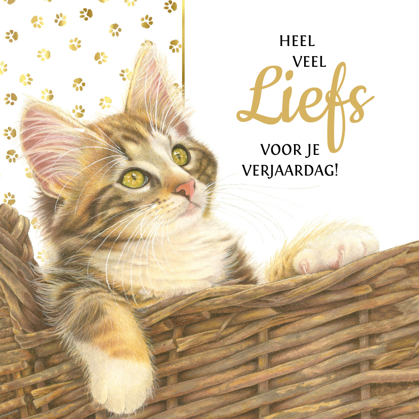 Verjaardagskaarten - Verjaardagskaart met felicitatie van kitten Francy