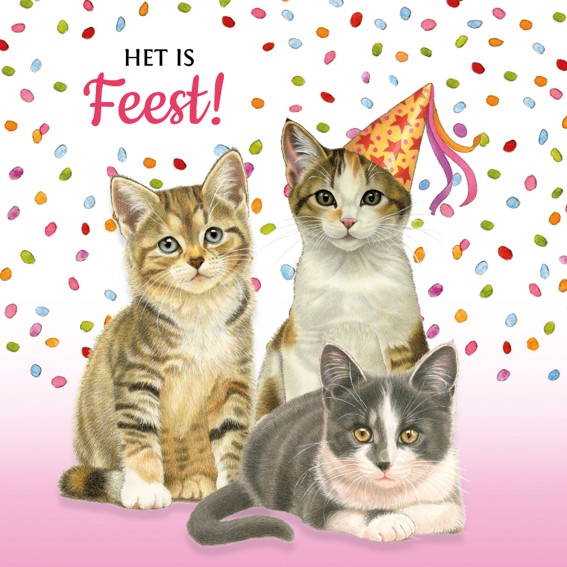 Verjaardagskaarten - Verjaardagskaart met gezellige katjes die een feestje vieren