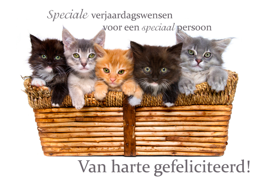 Verjaardagskaarten - Verjaardagskaart met lieve poesjes