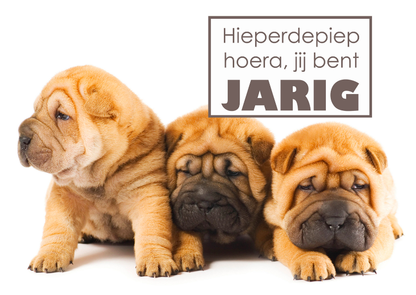 Verjaardagskaarten - Verjaardagskaart met lieve puppies