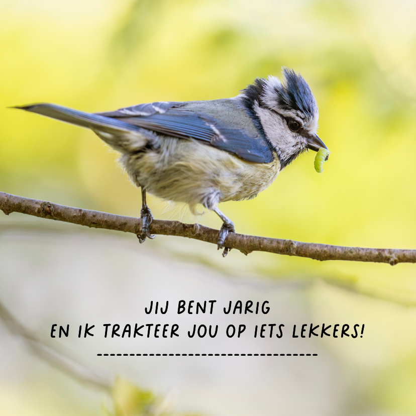 Verjaardagskaart met meesjes - Verjaardagskaarten Verjaardagskaarten - Verjaardagskaart met meesjes