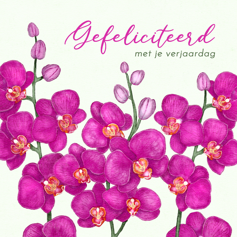 Verjaardagskaarten - Verjaardagskaart met paarse orchideeën