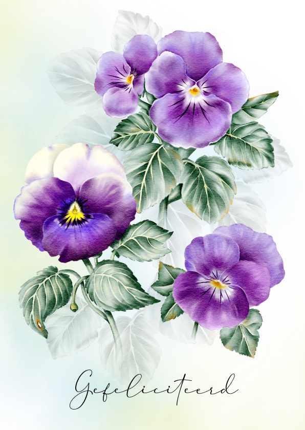 Verjaardagskaarten - Verjaardagskaart met paarse violen