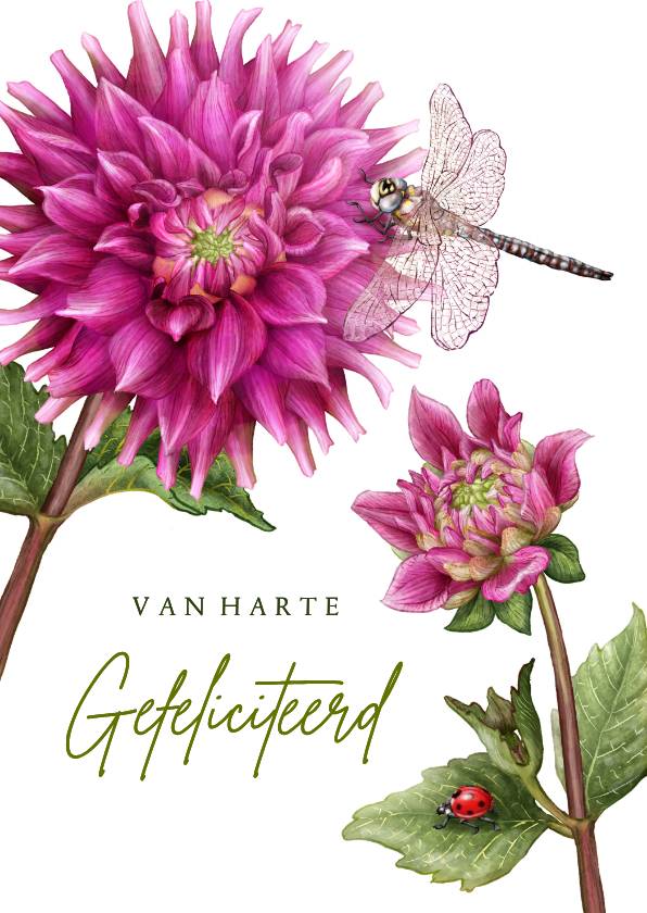 Verjaardagskaarten - Verjaardagskaart met roze dahlia libelle & lieveheersbeestje