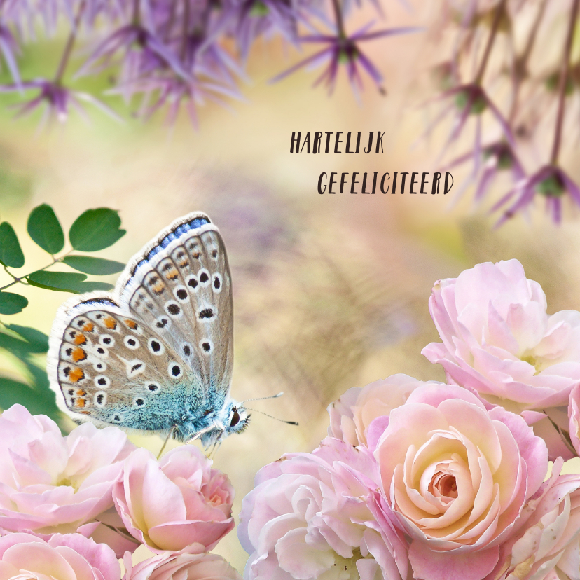 Verjaardagskaarten - Verjaardagskaart met rozen en vlinder