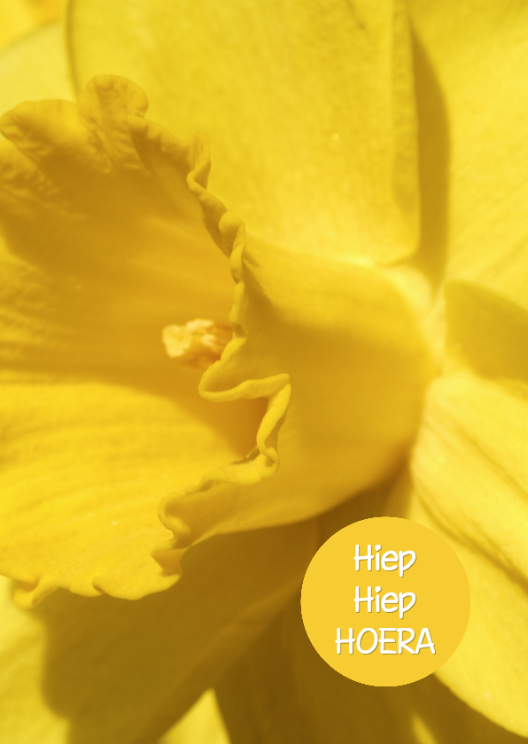 Verjaardagskaart Narcis - OTTI - Verjaardagskaarten Verjaardagskaarten - Verjaardagskaart Narcis - OTTI
