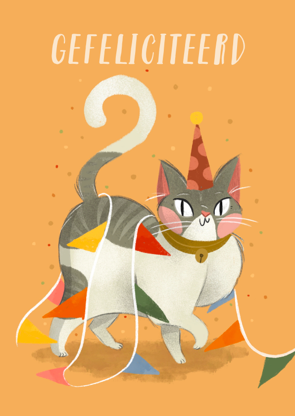 Verjaardagskaarten - Verjaardagskaart ondeugende kat