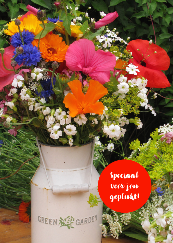 Verjaardagskaart Boetket Bloemen Pluktuin - Verjaardagskaarten Verjaardagskaarten - Verjaardagskaart Boetket Bloemen Pluktuin