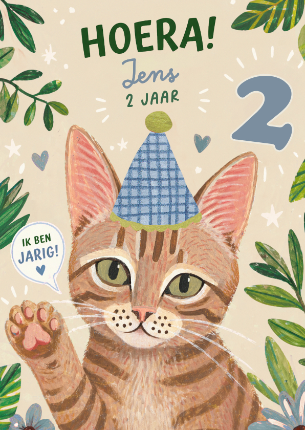 Verjaardagskaarten - Verjaardagskaart poes met feesthoedje 2 jaar
