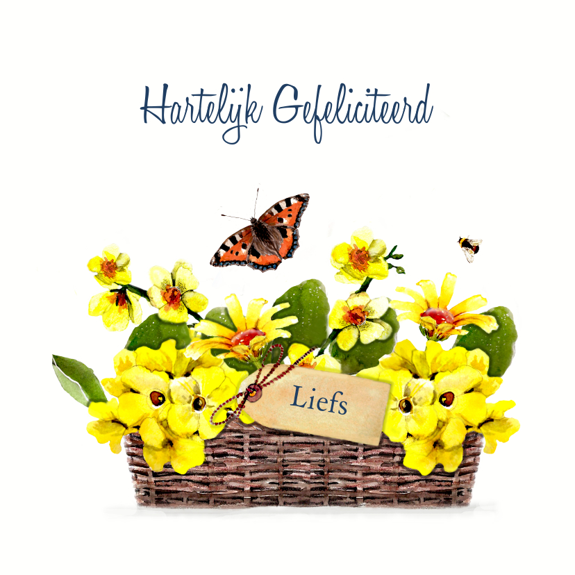 Kwadrant Experiment Rekwisieten Verjaardagskaart rieten mand met gele bloemen | Kaartje2go