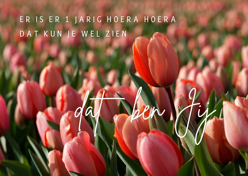 Verjaardagskaarten - Verjaardagskaart rode tulpen OT