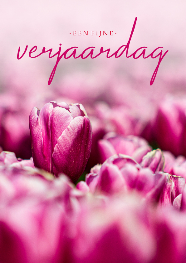 Van streek wat betreft Moet Verjaardagskaart roze tulpen fijne verjaardag | Kaartje2go