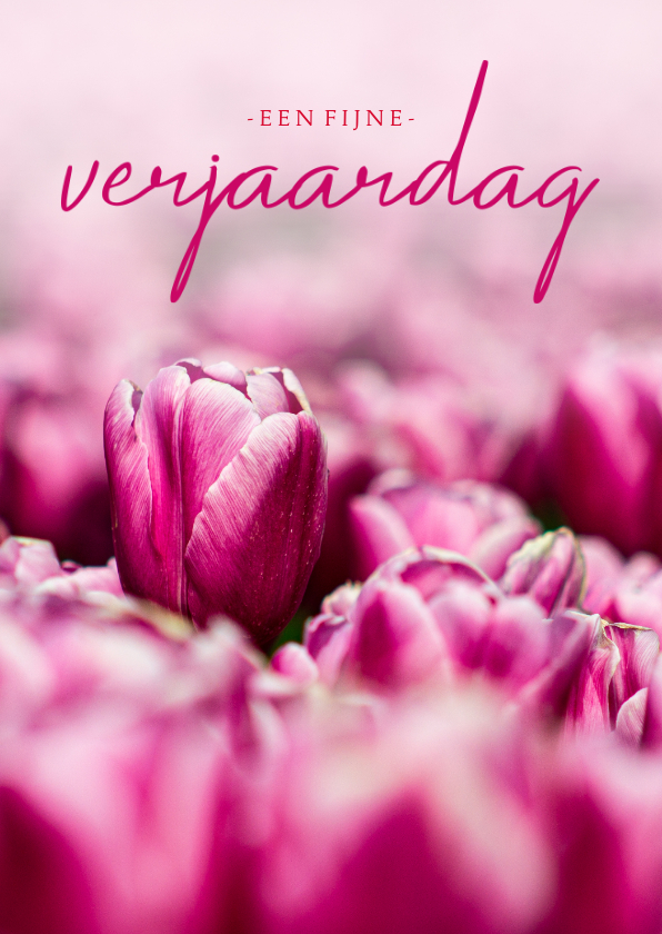 tulpen fijne verjaardag | Kaartje2go