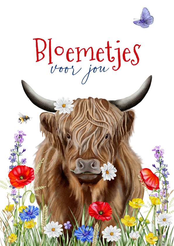 Verjaardagskaart Schotse hooglander met veldbloemen - Verjaardagskaarten Verjaardagskaarten - Verjaardagskaart Schotse hooglander met veldbloemen