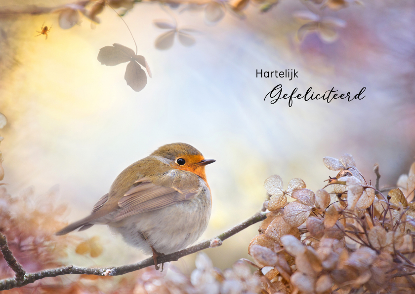 Verjaardagskaart - Sprookjes bestaan - Verjaardagskaarten Verjaardagskaarten - Verjaardagskaart - Sprookjes bestaan