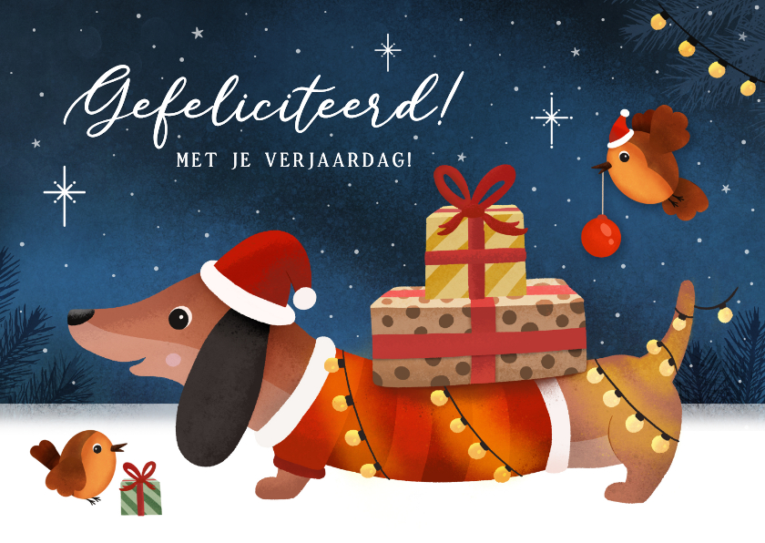 Verjaardagskaart teckel kerstkaart winter met roodborstje - Verjaardagskaarten Verjaardagskaarten - Verjaardagskaart teckel kerstkaart winter met roodborstje