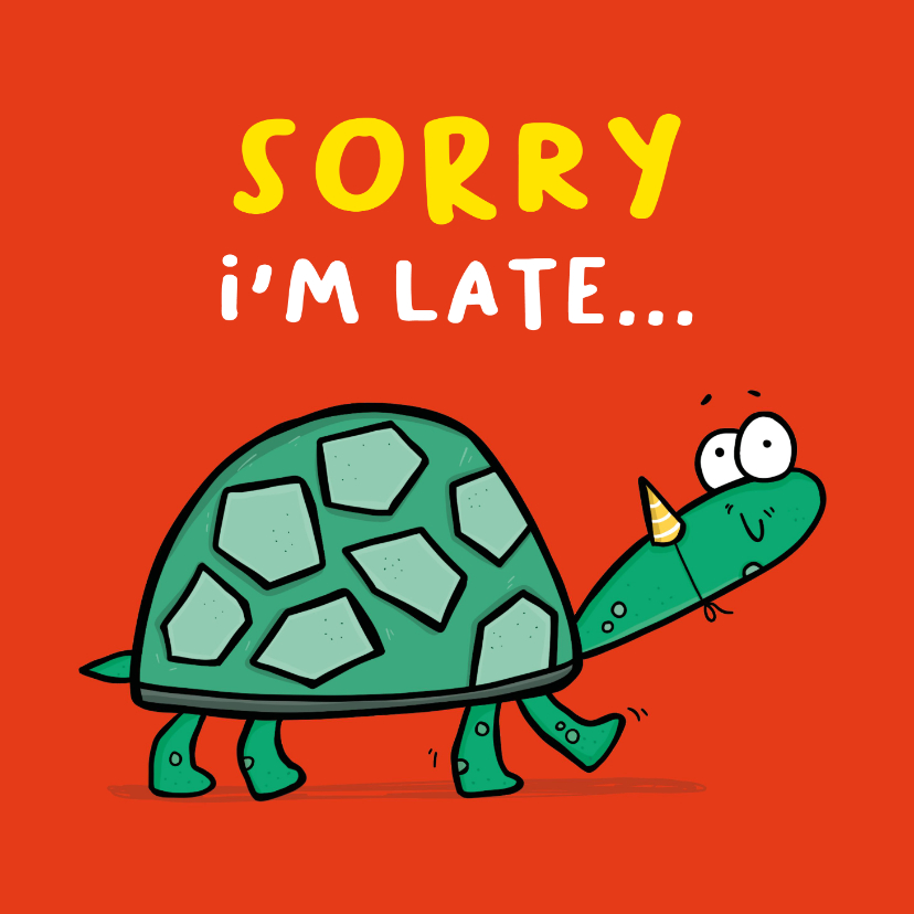 Verjaardagskaarten - Verjaardagskaart Turtle sorry i'm late