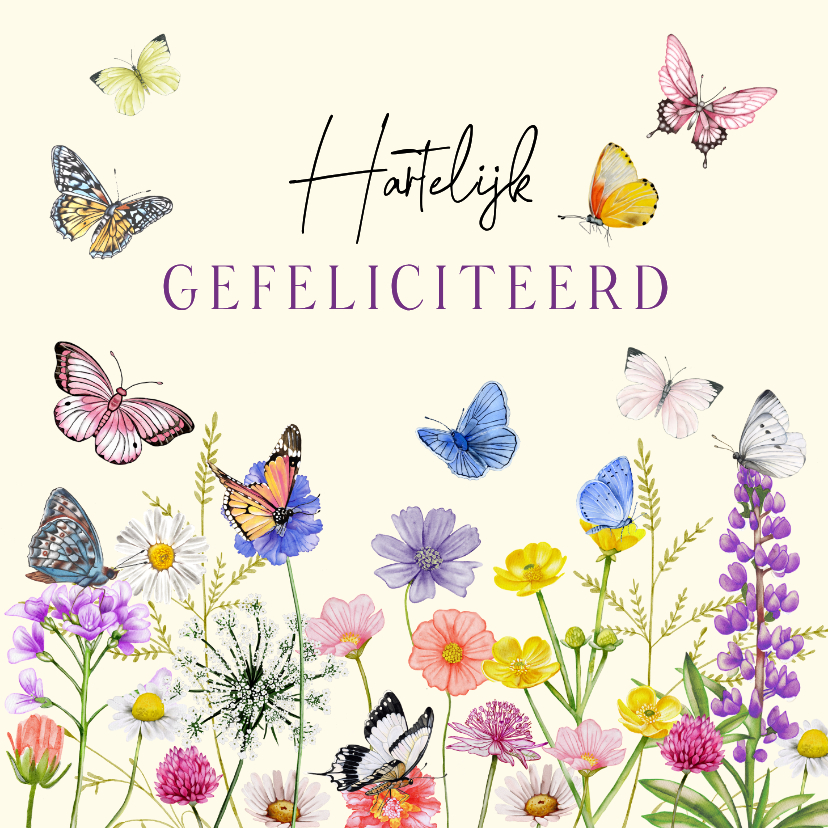Verjaardagskaart vlinders op veldbloemen - Verjaardagskaarten Verjaardagskaarten - Verjaardagskaart vlinders op veldbloemen