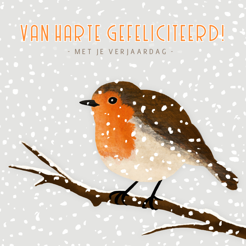 Verjaardagskaart winter met een roodborstje in de sneeuw - Verjaardagskaarten Verjaardagskaarten - Verjaardagskaart winter met een roodborstje in de sneeuw