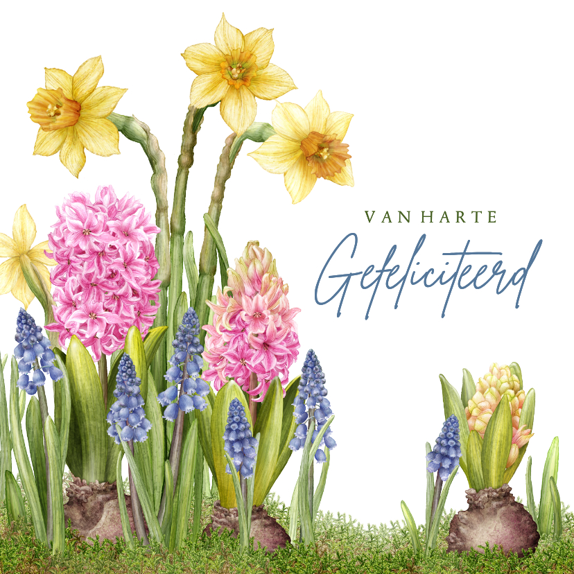 Verjaardagskaarten - Verjaardagskaartje voorjaar narcis hyacint blauw druifje