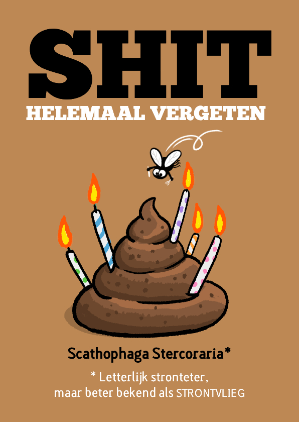 Verjaarsdagskaartje te laat met strontvlieg grappig - Verjaardagskaarten Verjaardagskaarten - Verjaarsdagskaartje te laat met strontvlieg grappig