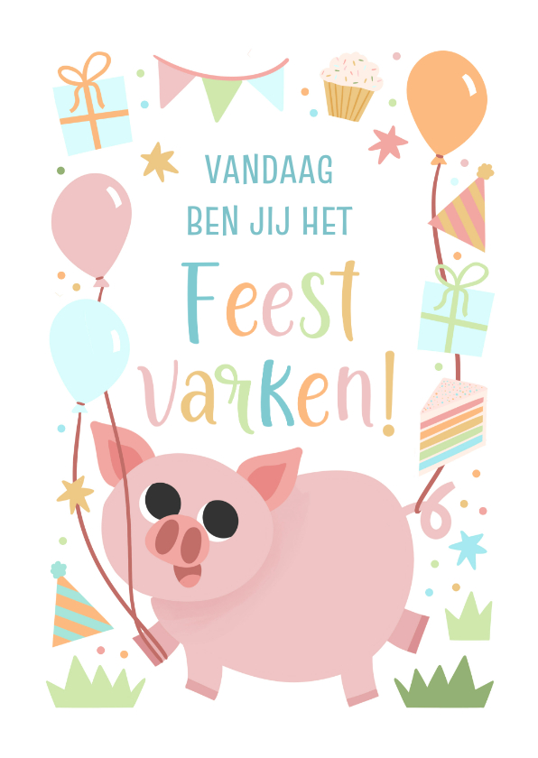 Verjaardagskaarten - Vrolijk verjaardagskaartje kind feestvarkentje