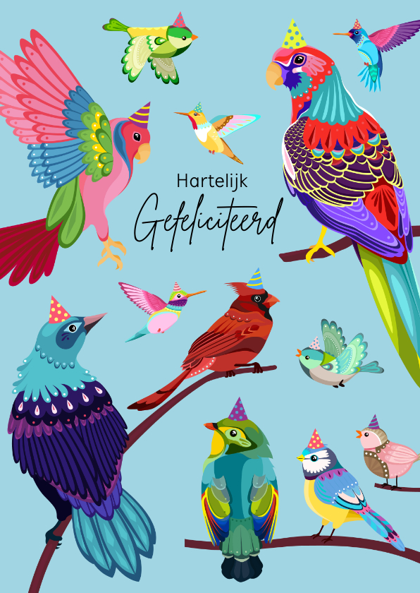 Verjaardagskaarten - Vrolijke en kleurrijke verjaardagskaart met een groep vogels