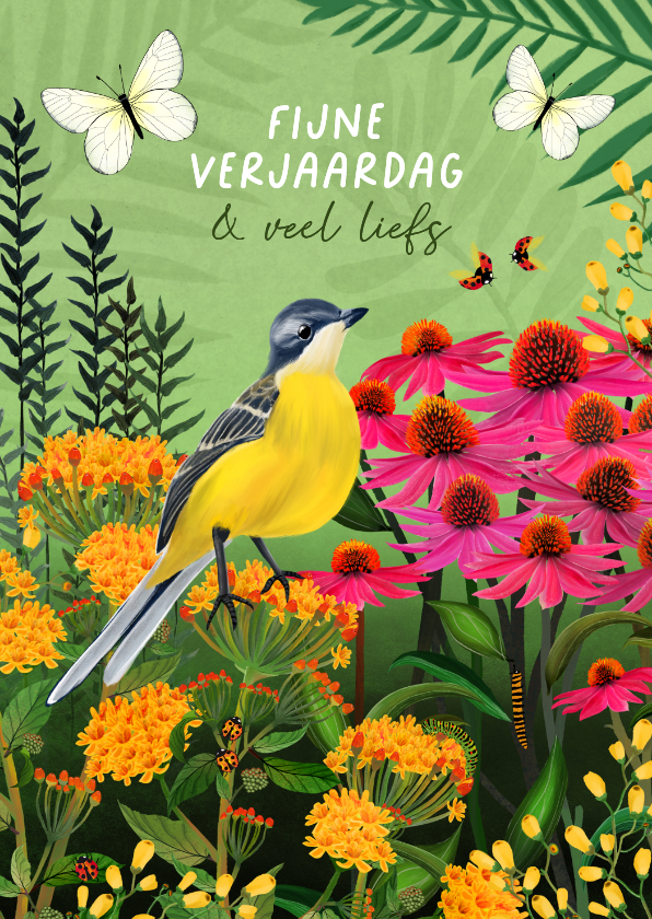 Vrolijke verjaardagkaart met vogel en vlinders - Verjaardagskaarten Verjaardagskaarten - Vrolijke verjaardagkaart met vogel en vlinders