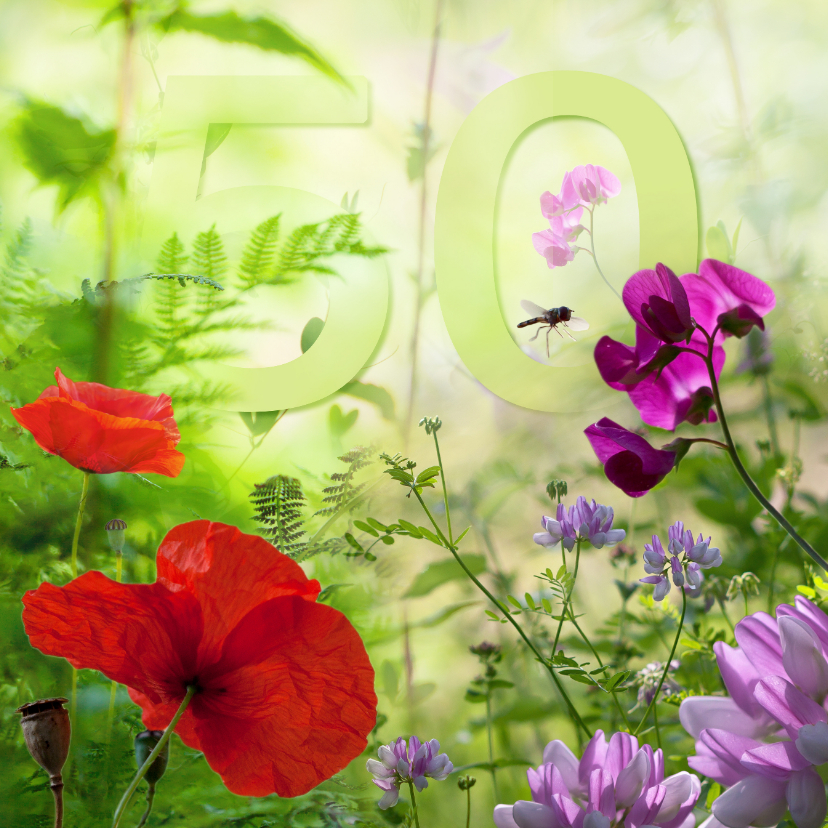 Zomerbloemen met 50 - Verjaardagskaarten Verjaardagskaarten - Zomerbloemen met 50