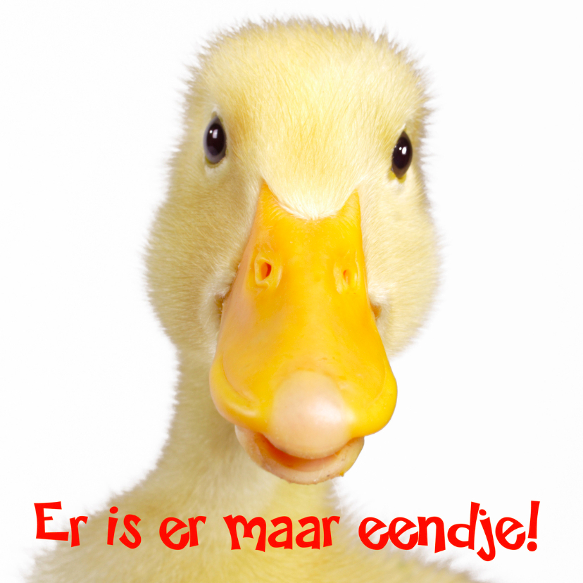Er is er maar eendje - Vriendschap kaarten Vriendschap kaarten - Er is er maar eendje