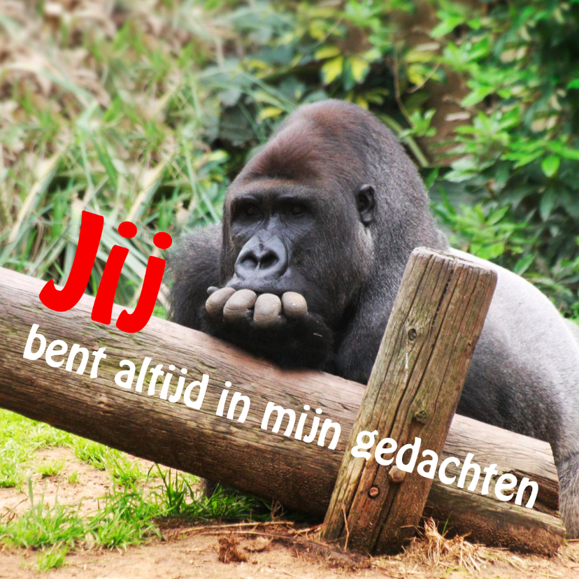 Jij bent altijd in mijn gedachten - Vriendschap kaarten Vriendschap kaarten - Jij bent altijd in mijn gedachten